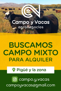 Campo y Vacas Agronegocios 1
