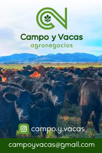 Campo y Vacas Agronegocios 3