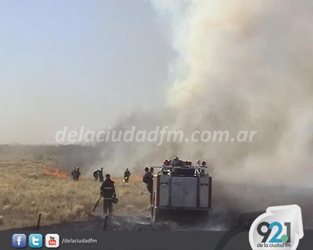 Foto Saavedra Televisora Color